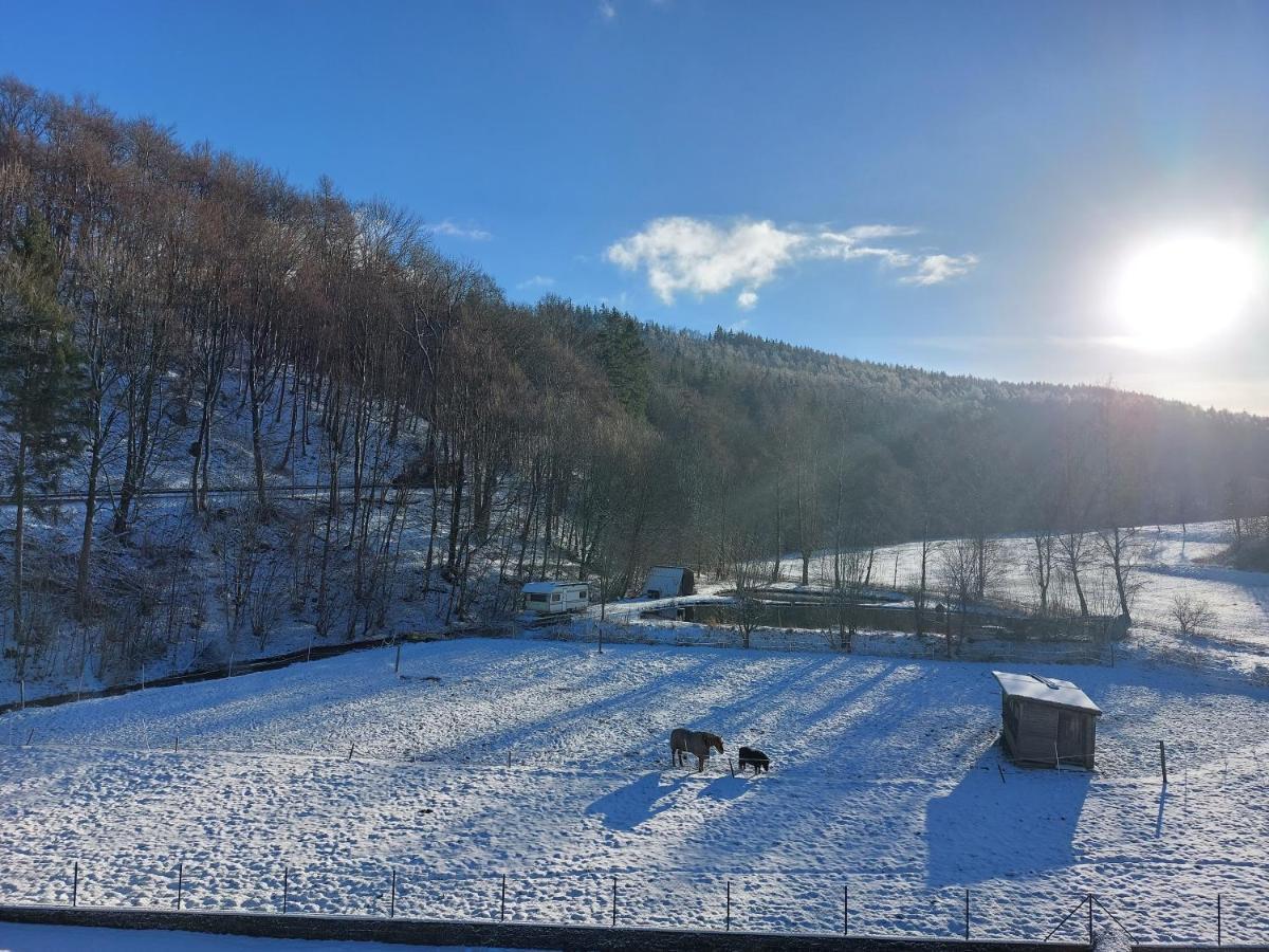 Ferienwohnung Zum Kuehlen Grund Eimelrod Экстерьер фото